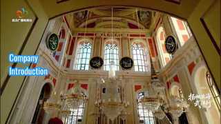 Company Development History